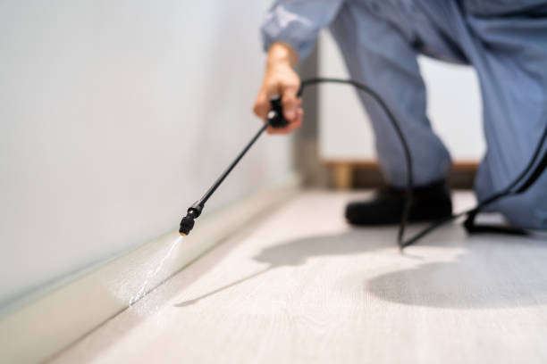 Certified termite inspector examining foundation in Postville