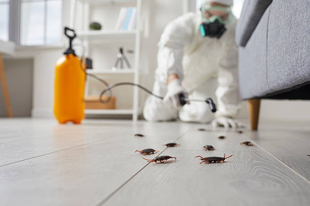 Commercial Rodent Management in Postville